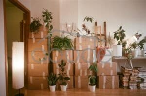 Moving house