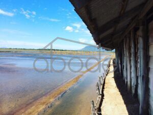 Kampot salt flats