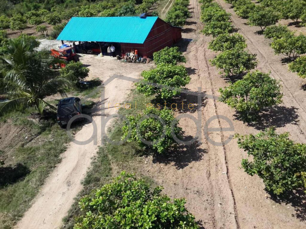 land-for-sale-kampong-thom-615-hectare