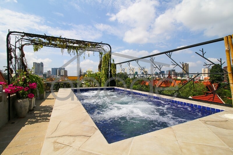 1 bedroom apartment palace views for rent Daun Penh