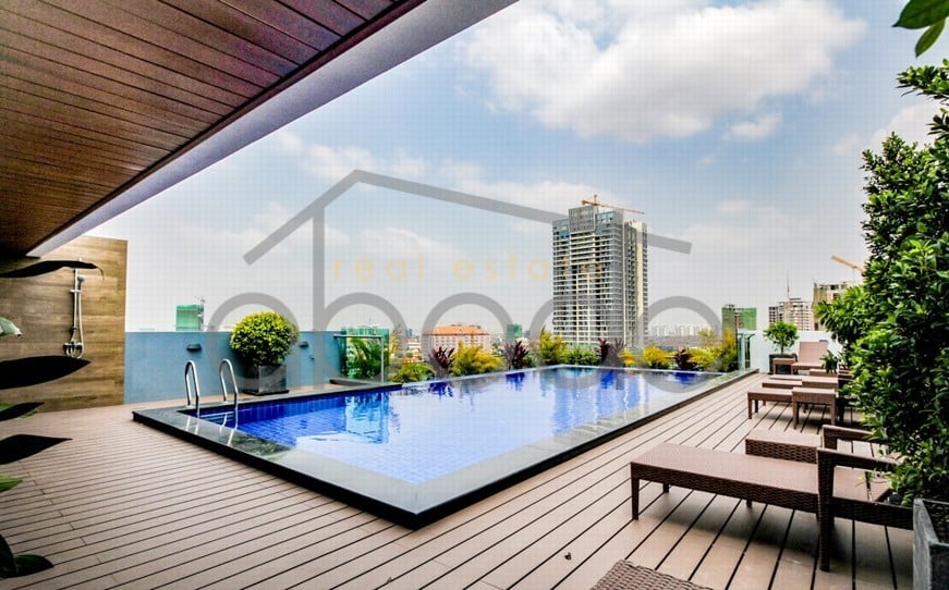 Modern apartment with superb rooftop terrace and pool for rent Toul Kork (TK)