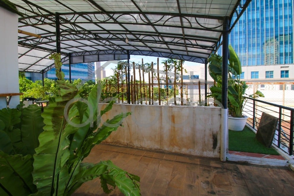 wat-phnom-apartment-large-terrace-for-rent-central-phnom-penh