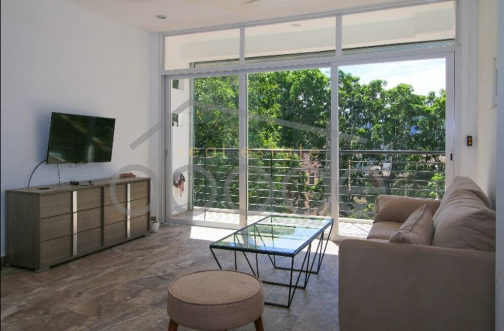 wat-phnom-apartment-large-terrace-for-rent-central-phnom-penh