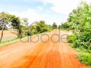 Hard title land for sale Kampot