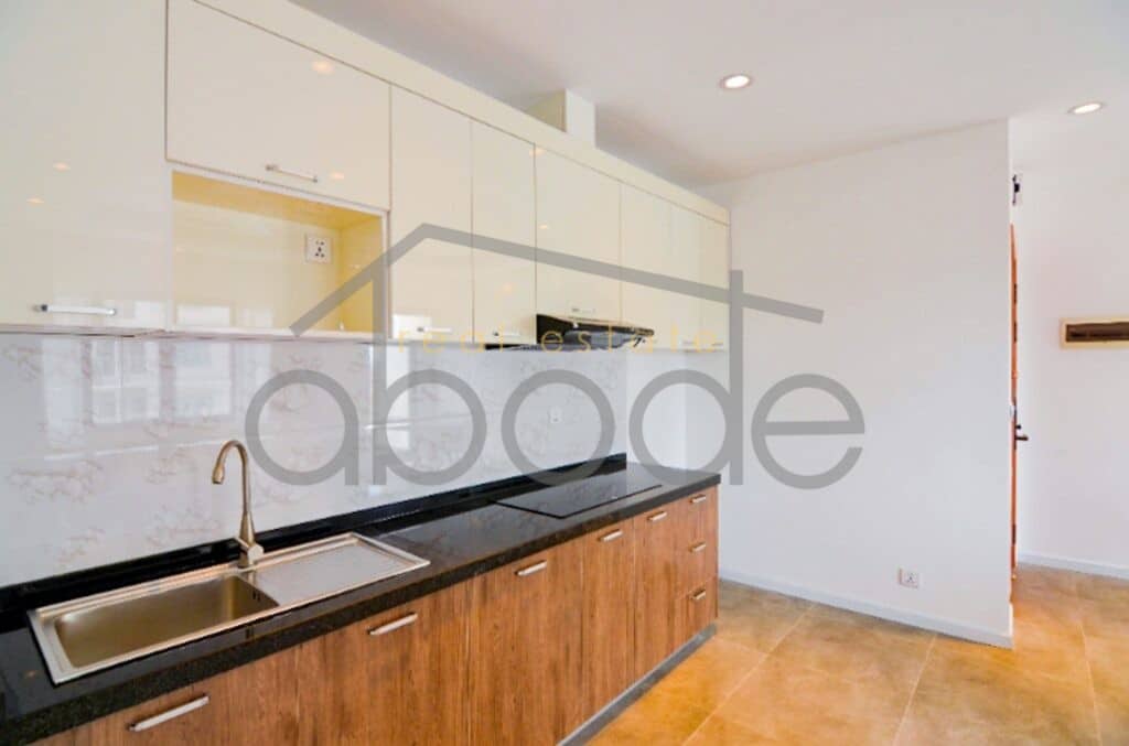 luxury 2 bedroom apartment for rent daun penh