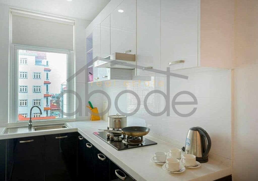 1 bedroom modern apartment for rent russian market