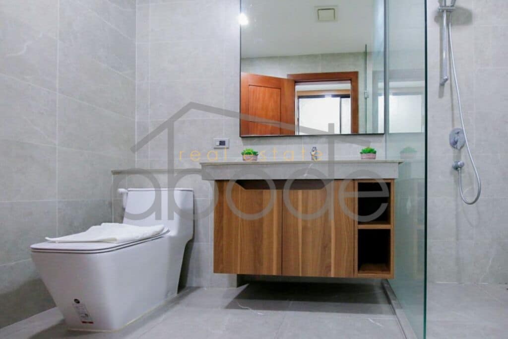 2 bedroom luxury apartment for rent russian market