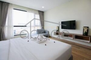 2 bedroom luxury apartment for rent russian market