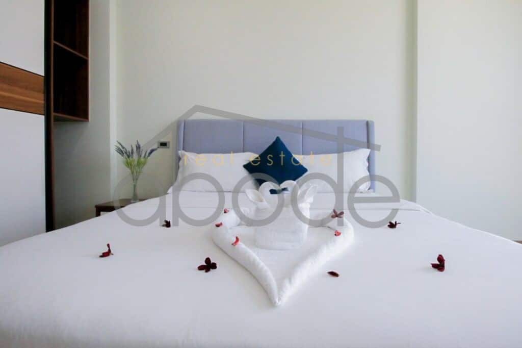 2 bedroom luxury apartment for rent russian market