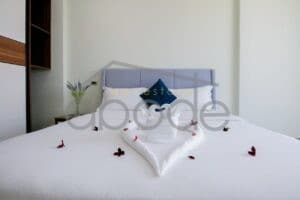 2 bedroom luxury apartment for rent russian market