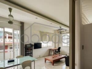 large-2-bedroom-apartment-for-rent-daun-penh