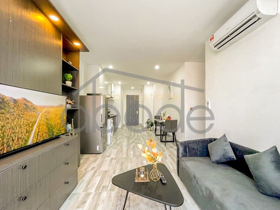 modern 2 bedroom apartment for rent russian hospital