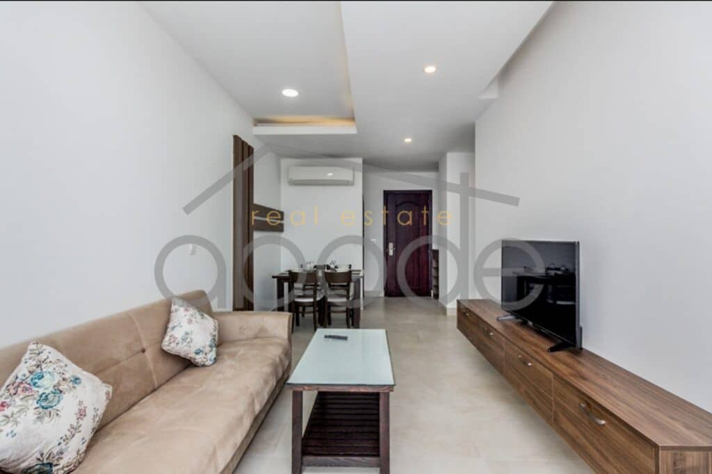 modern 2 bedroom apartment for rent russian market