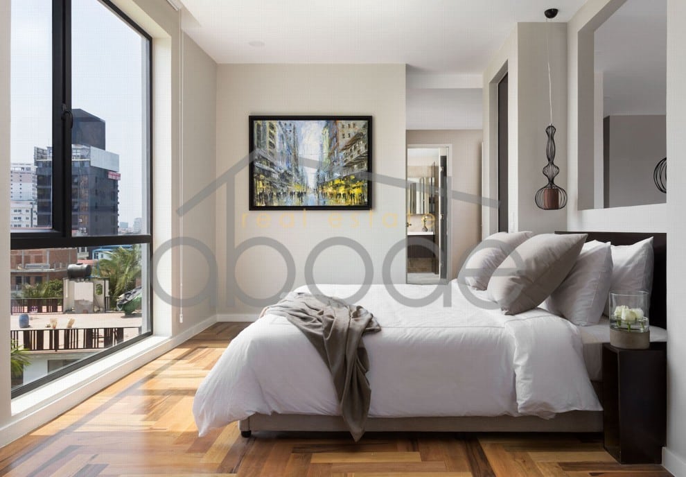 Superb design 3 bedroom duplex apartment for rent bassac lane