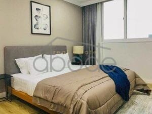 luxury 2 bedroom executive apartment for rent BKK 1