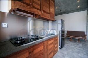 Modern design 1 bedroom apartment for rent Russian Market