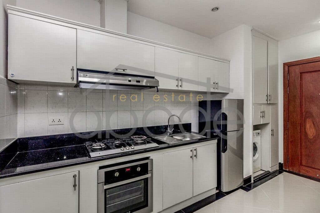 Luxury 1 bedroom apartment pool and gym for rent Russian Market