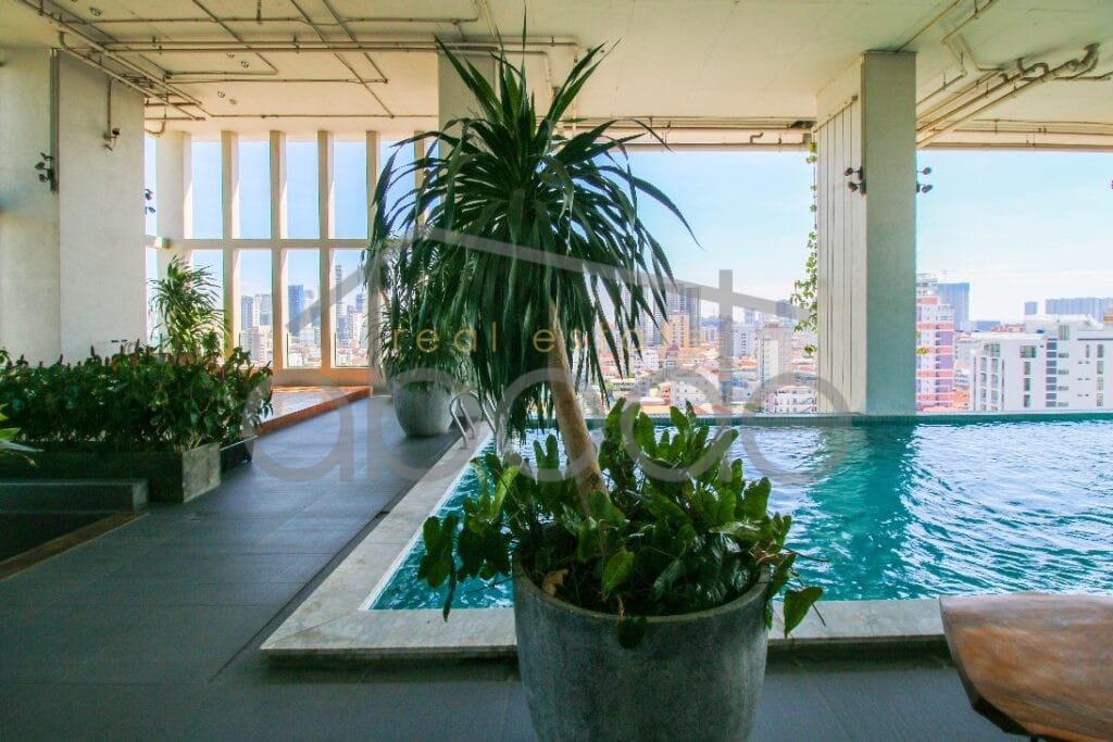 City views 1 bedroom apartment for rent Russian Market