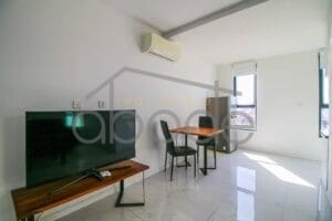 City views 1 bedroom apartment for rent Russian Market