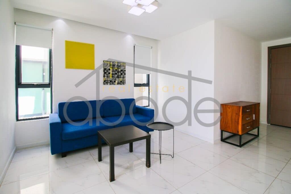 City views 1 bedroom apartment for rent Russian Market