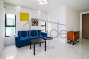 City views 1 bedroom apartment for rent Russian Market