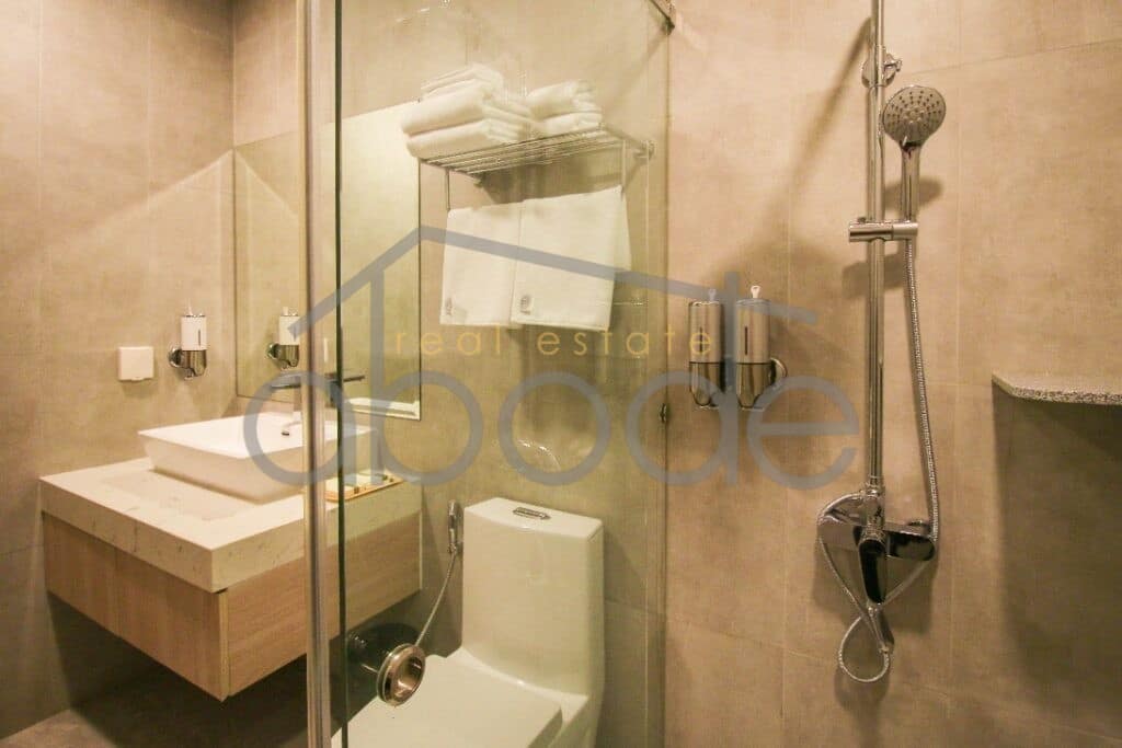 Luxury 1 bedroom apartment for rent Russian Market
