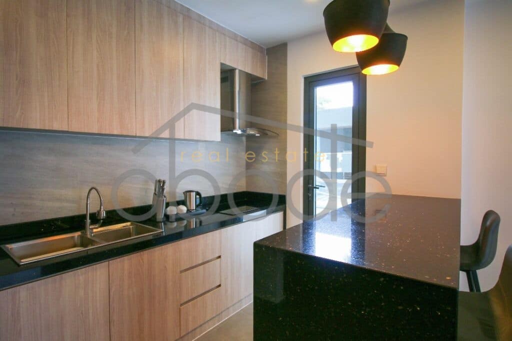 Luxury 1 bedroom apartment for rent Russian Market