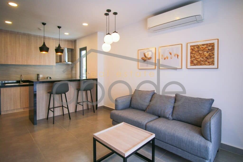 Luxury 1 bedroom apartment for rent Russian Market