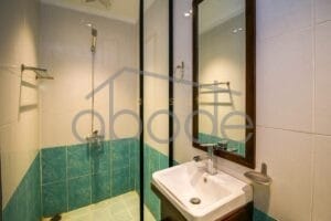 Luxury 2 bedroom apartment for rent BKK 1