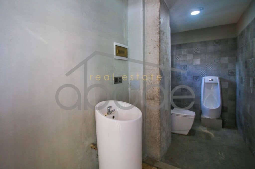 5 floor mixed use building for rent Bassac Lane