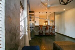 1 bedroom apartment city views for rent Russian Market