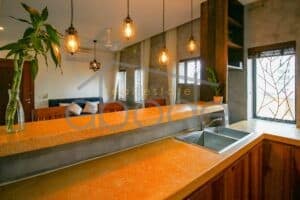 1 bedroom apartment city views for rent Russian Market