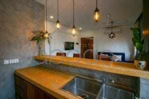 1 bedroom apartment city views for rent Russian Market
