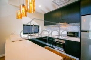 2 bedroom luxury apartment for rent bassac lane