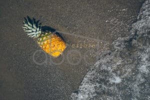 New Tourism strategy