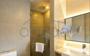 Luxury 1 bedroom apartment for rent BKK 1