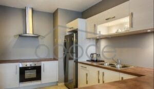 Luxury 1 bedroom apartment for rent BKK 1