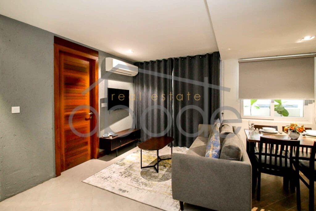 luxury 2 bedroom apartment for rent Russian Market