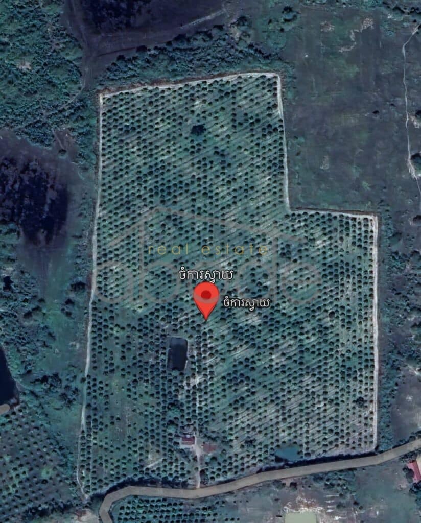land for sale kampong speu