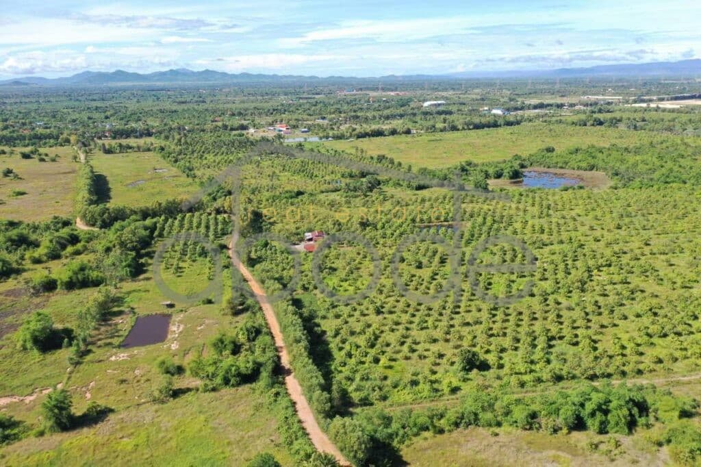 land for sale kampong speu