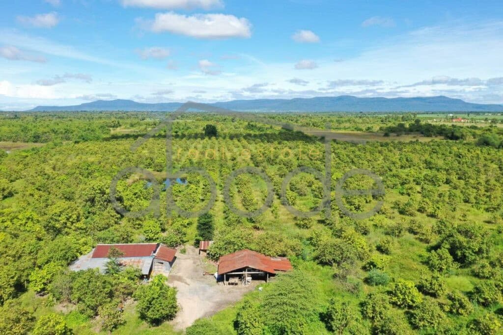 land for sale kampong speu