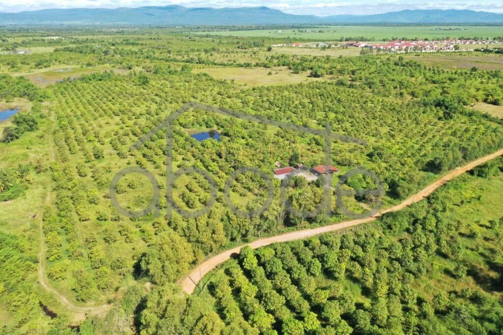 land for sale kampong speu