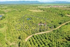 land for sale kampong speu