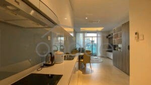 2 bedroom apartment for sale penthouse condo bassac lane