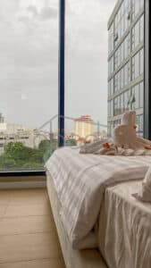 2 bedroom apartment for sale penthouse condo bassac lane
