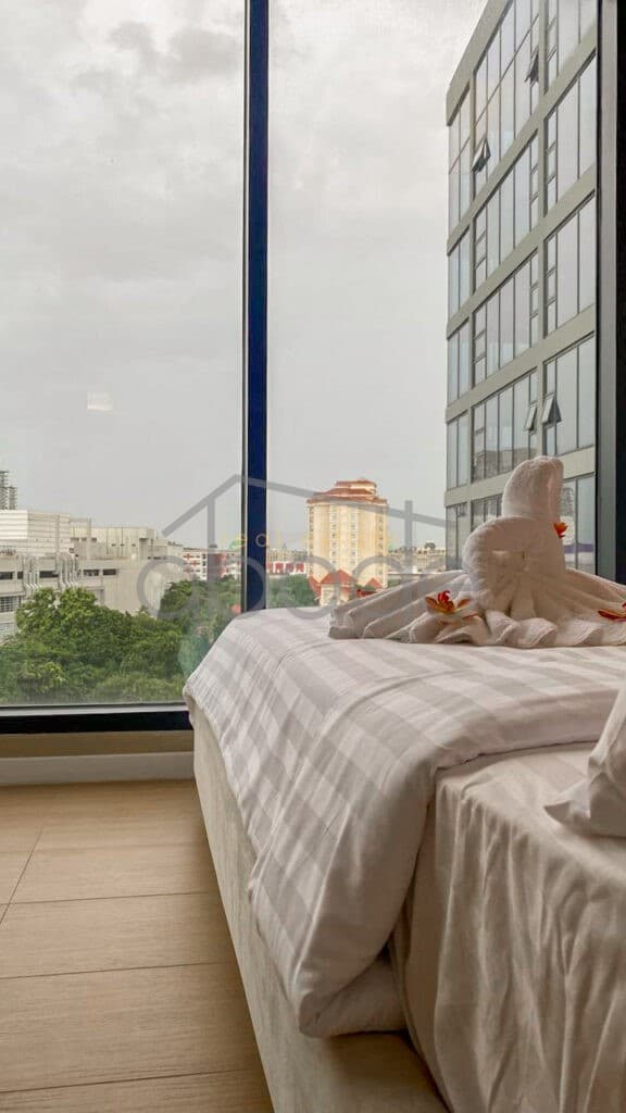 2 bedroom apartment for sale penthouse condo bassac lane