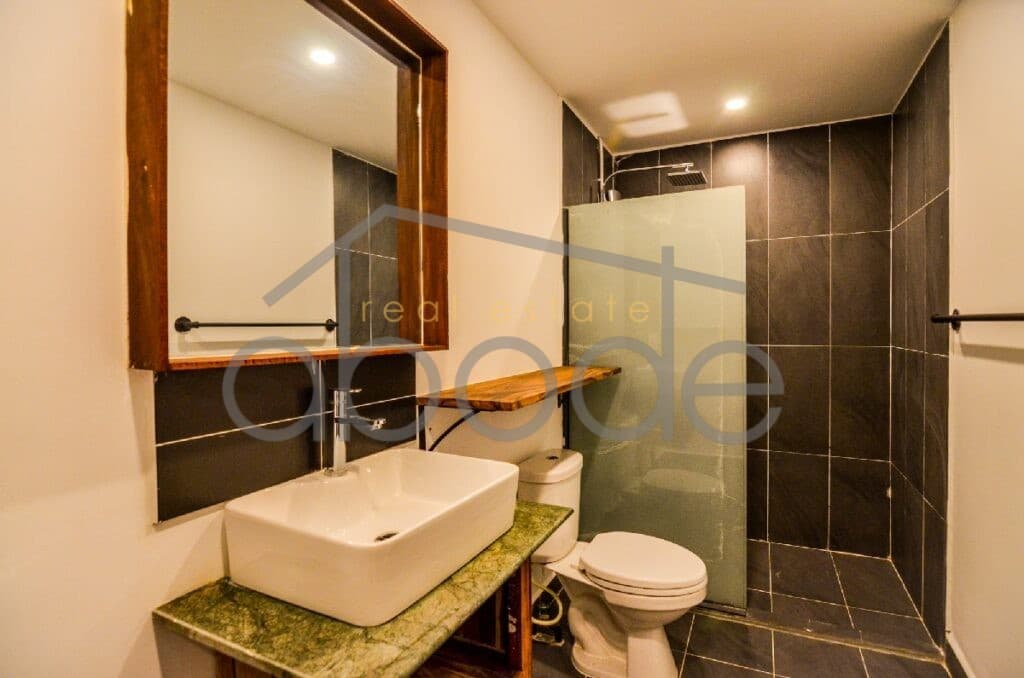 Modern 3 bedroom apartment for rent Central Market