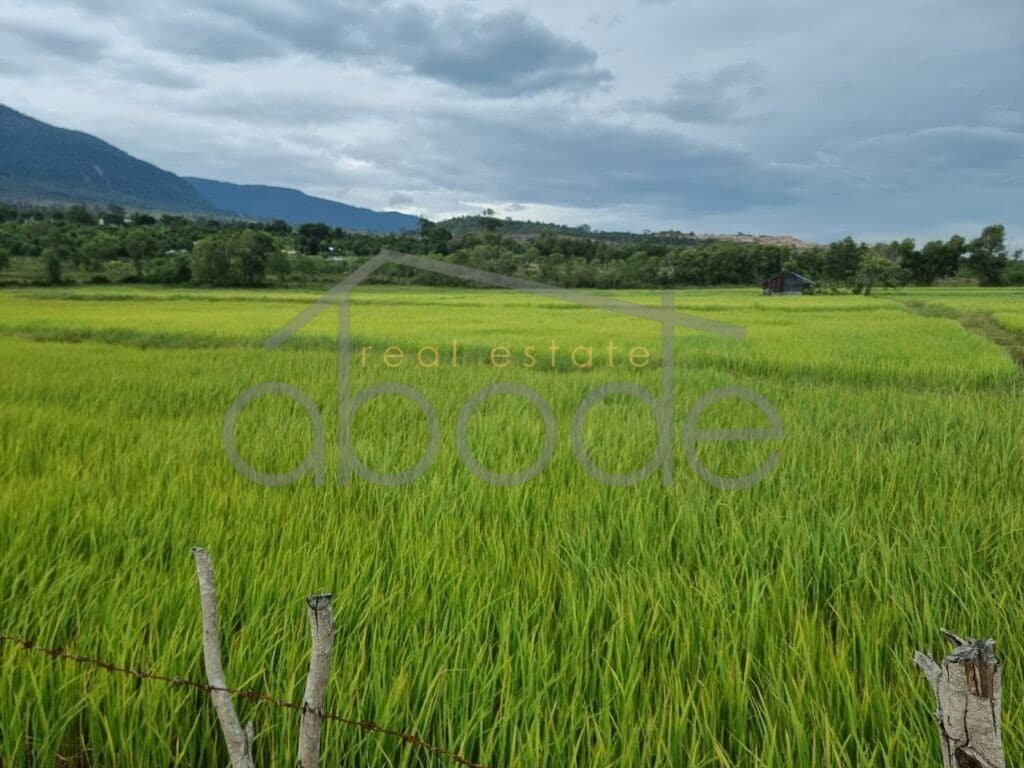 7.4 hectare block of land for sale Mount Bokor Kampot