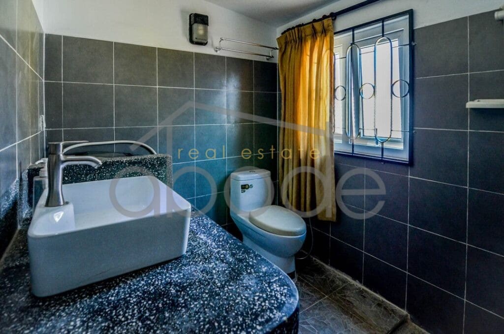 Large Riverside duplex incredible terrace for rent