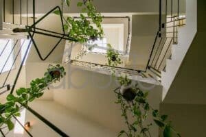 Luxury 2 bedroom modernist apartment for rent National Road 1